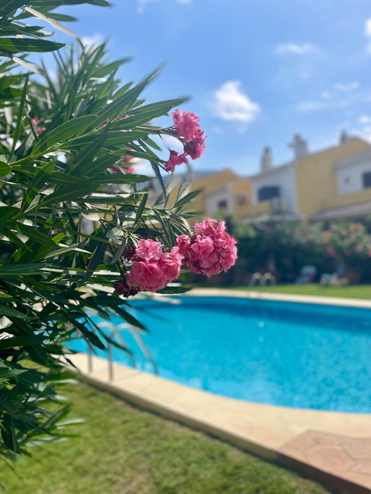 Ferienwohnung El Casa Kama Dénia Exterior foto
